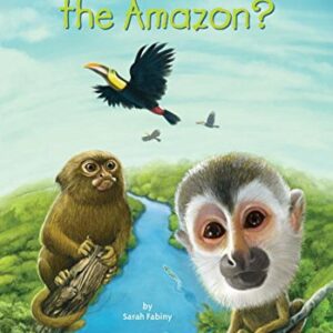 Where Is the Amazon?